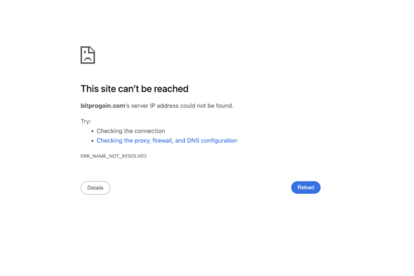 Bitprogain.com scam review